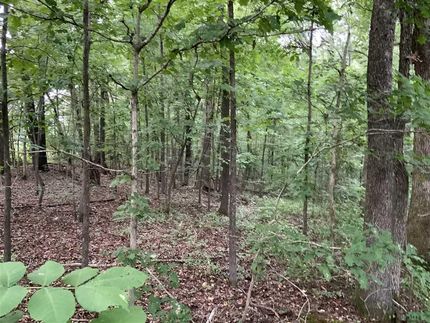 Land in Fayette County, Tennessee