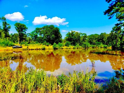 Hunting Property in Houston County, Texas