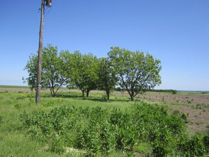 Undeveloped Land in Williamson County, Texas