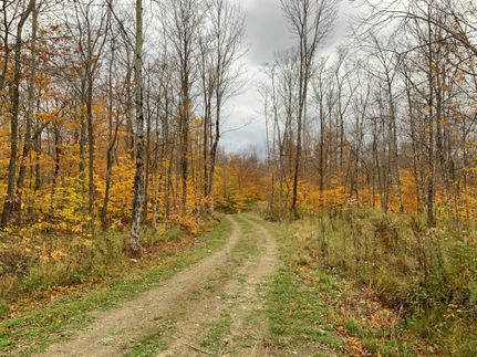 Commercial Property in Jefferson County, New York