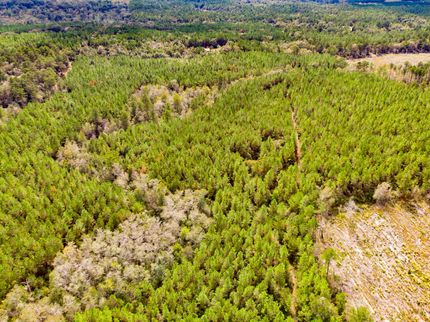 Hunting Property in Holmes County, Florida