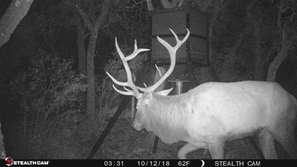 Hunting Property in Edwards County, Texas