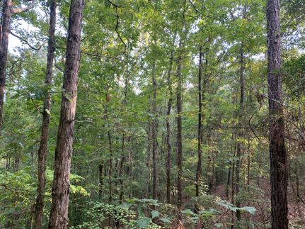 Farm and Ranch in Dallas County, Alabama