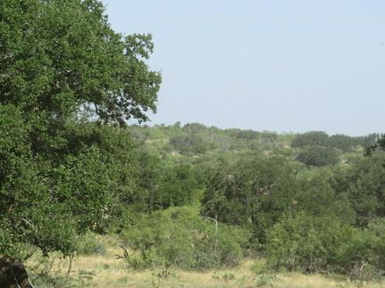 Undeveloped Land in Menard County, Texas