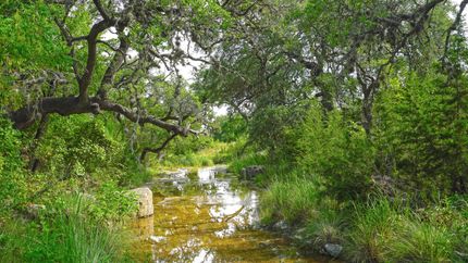 Undeveloped Land in Blanco County, Texas