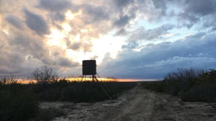 Undeveloped Land in La Salle County, Texas