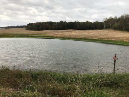 Farm and Ranch in Muhlenberg County, Kentucky