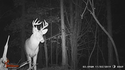 Undeveloped Land in Hart County, Kentucky