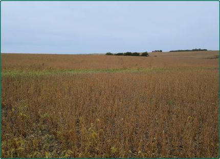Farm and Ranch in Iowa County, Iowa