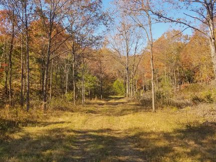 Timberland Property in Miller County, Missouri