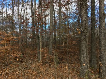 Farm and Ranch in Appomattox County, Virginia