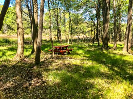 Recreational Property in Henderson County, Texas