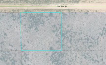 Timberland Property in Luna County, New Mexico