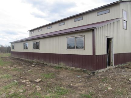 Timberland Property in Lewis County, Kentucky