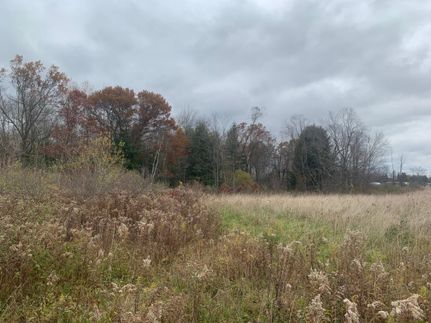 Recreational Property in Mecosta County, Michigan