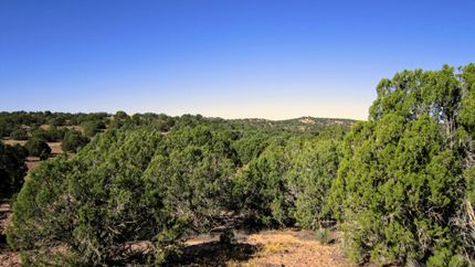 Undeveloped Land in Apache County, Arizona