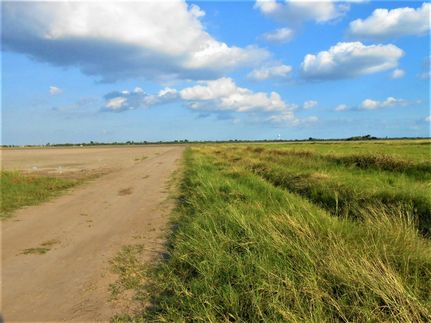 Undeveloped Land in Cameron County, Texas