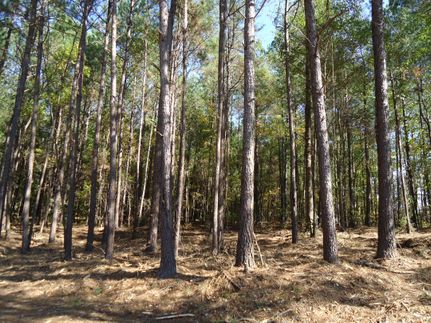 Riverfront Property in Butts County, Georgia