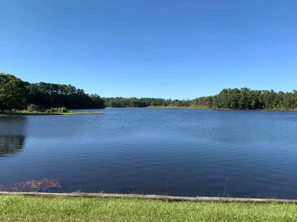 Timberland Property in Tyler County, Texas