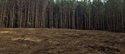 Farm and Ranch in Cullman County, Alabama