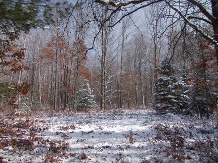 Commercial Property in Gladwin County, Michigan