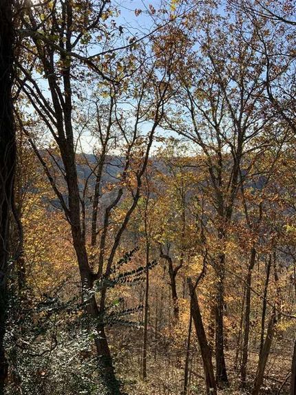 Timberland Property in Fentress County, Tennessee