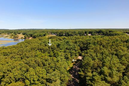 Undeveloped Land in Allegan County, Michigan