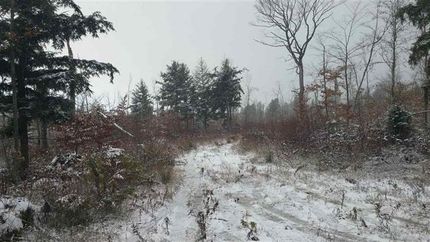 Hunting Property in Alger County, Michigan