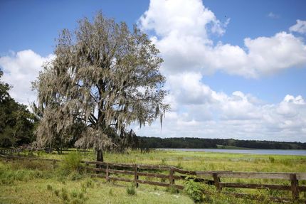 Farm and Ranch in Hernando County, Florida
