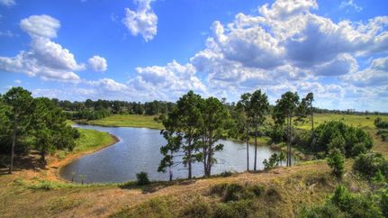 Undeveloped Land in Bastrop County, Texas