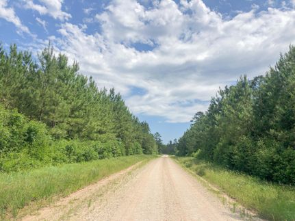 Recreational Property in Walker County, Texas