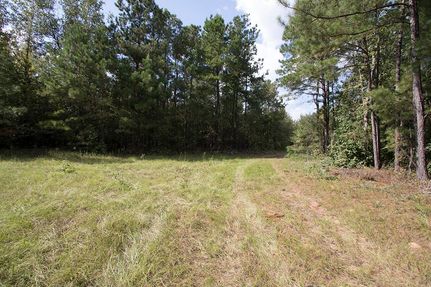 Hunting Property in Burke County, Georgia