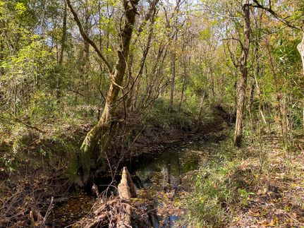 Recreational Property in Tyler County, Texas