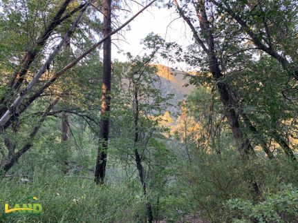 Horse Property in San Bernardino County, California