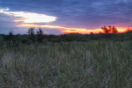 Farm and Ranch in Cottle County, Texas