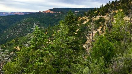 Land in Kane County, Utah
