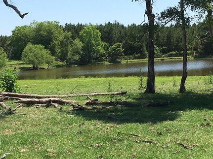 Farm and Ranch in Screven County, Georgia