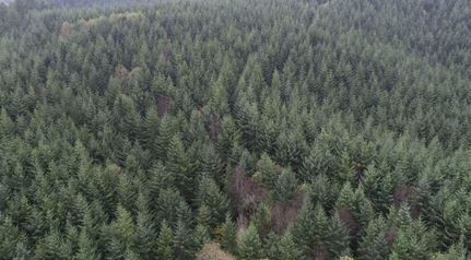 Recreational Property in Columbia County, Oregon