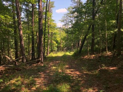 Undeveloped Land in Montgomery County, Virginia