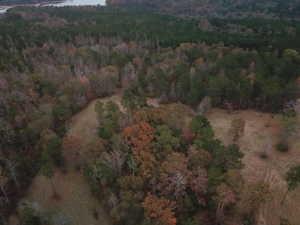 Undeveloped Land in Chambers County, Alabama