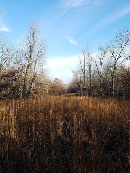 Undeveloped Land in Izard County, Arkansas
