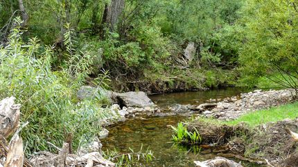 Land in Grant County, New Mexico
