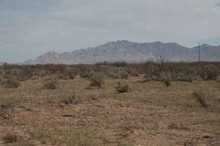 Undeveloped Land in Luna County, New Mexico
