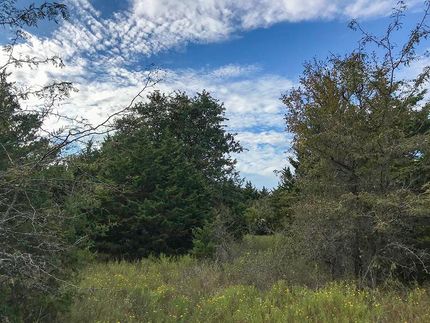 Farm and Ranch in Milam County, Texas