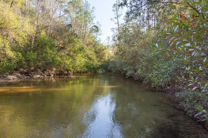 Farm and Ranch in Baldwin County, Alabama