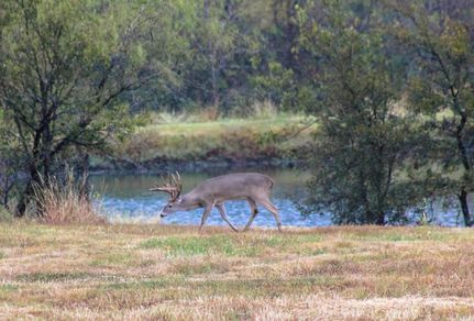 Recreational Property in Limestone County, Texas
