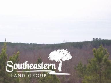 Recreational Property in Chambers County, Alabama