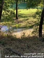 Timberland Property in Guadalupe County, Texas
