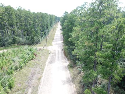 Timberland Property in Tyler County, Texas