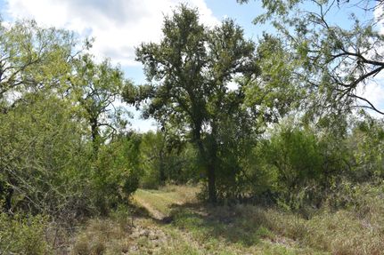 Undeveloped Land in Duval County, Texas
